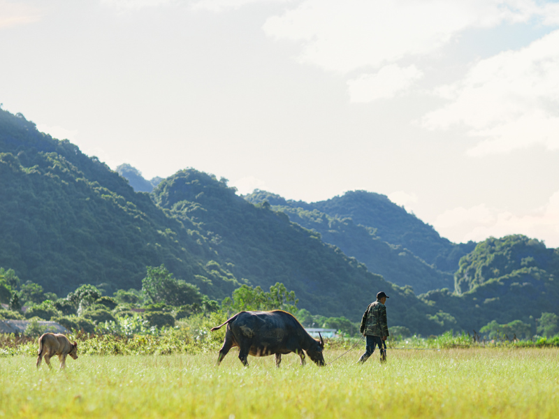 Viet Hai village