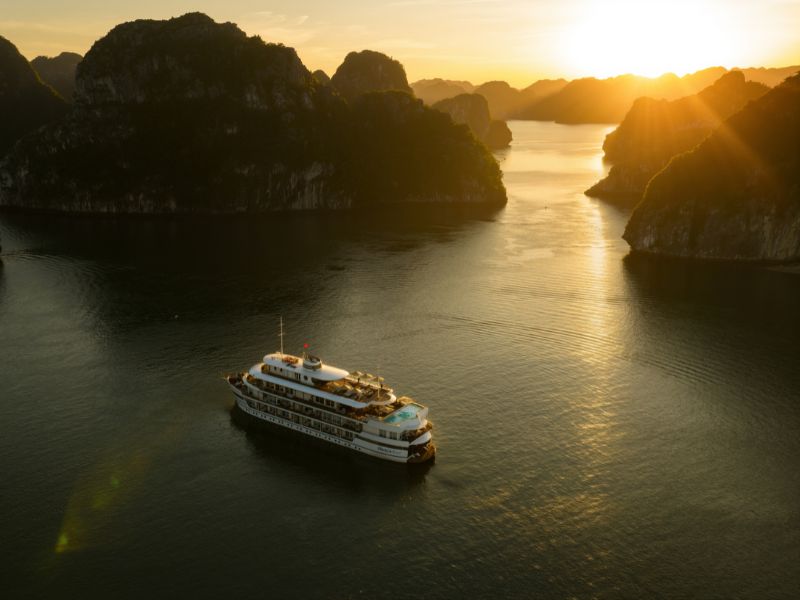 Bhaya Soul Wellness cruise