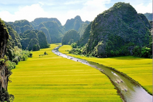 halong bay or ninh binh