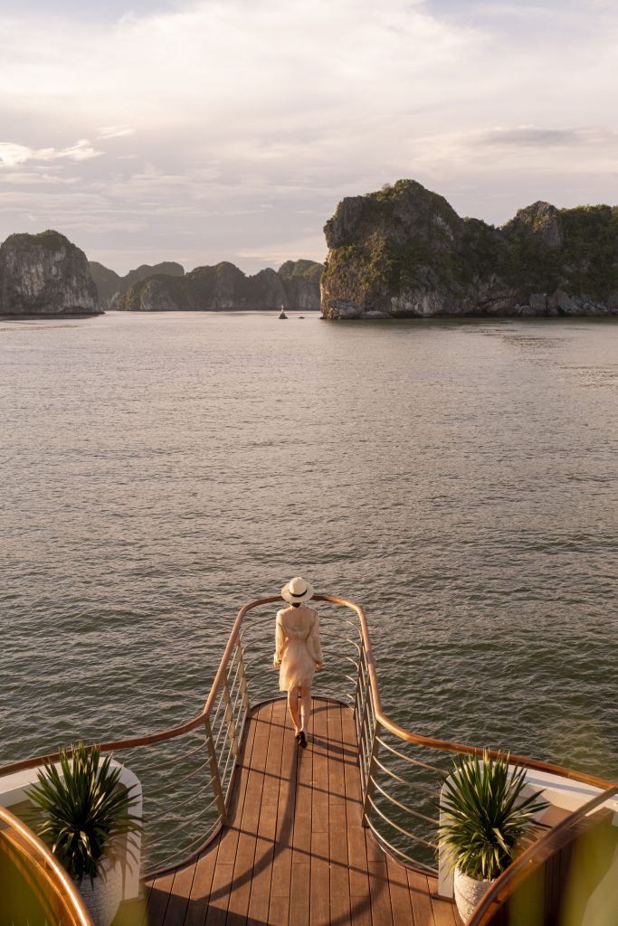 Bhaya Soul Wellness cruise