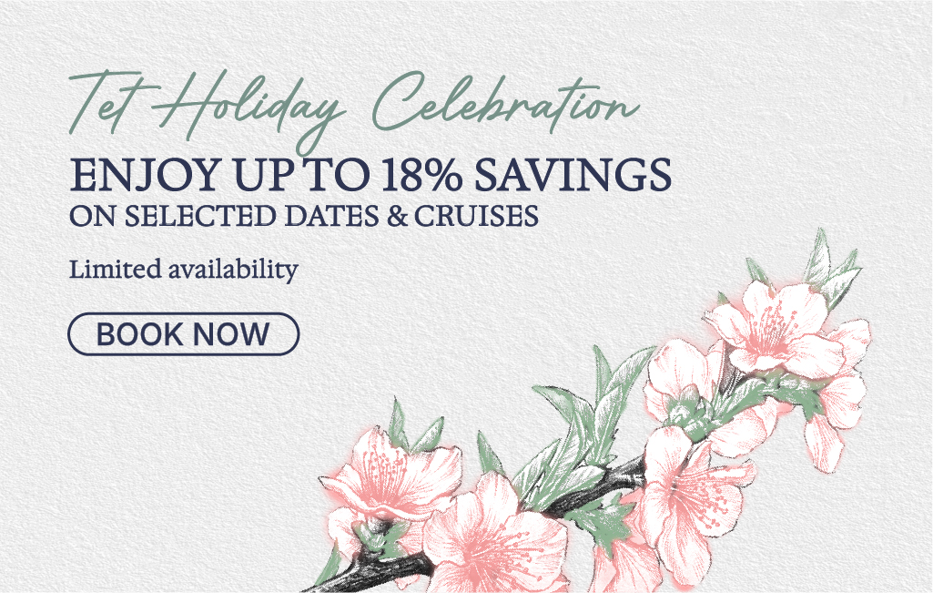 Tet holiday promotion