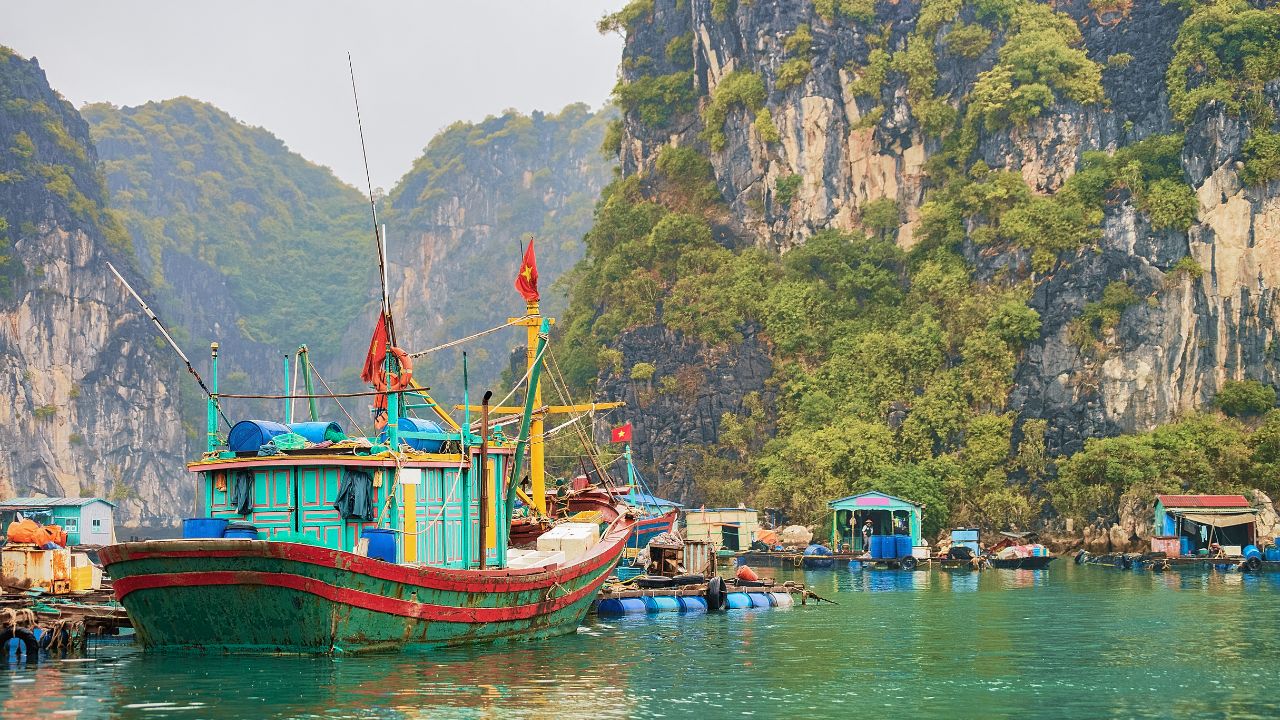 Night Squid Fishing in Halong Bay_ A Unique Local Experience - bhaya cruise - halong bay vietnam (2)