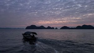 Night Squid Fishing in Halong Bay_ A Unique Local Experience - bhaya cruise - halong bay vietnam (3)