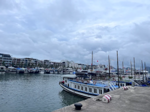 tuan chau harbour