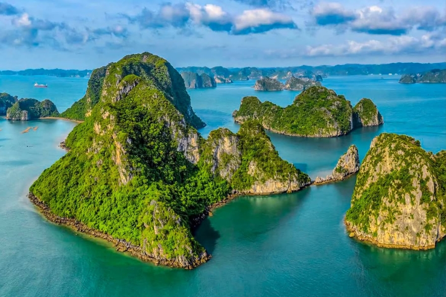 bai tu long bay