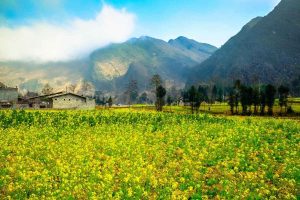 Get from Ha Giang to Halong Bay