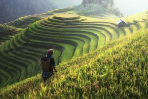 Get from Sapa to Halong Bay