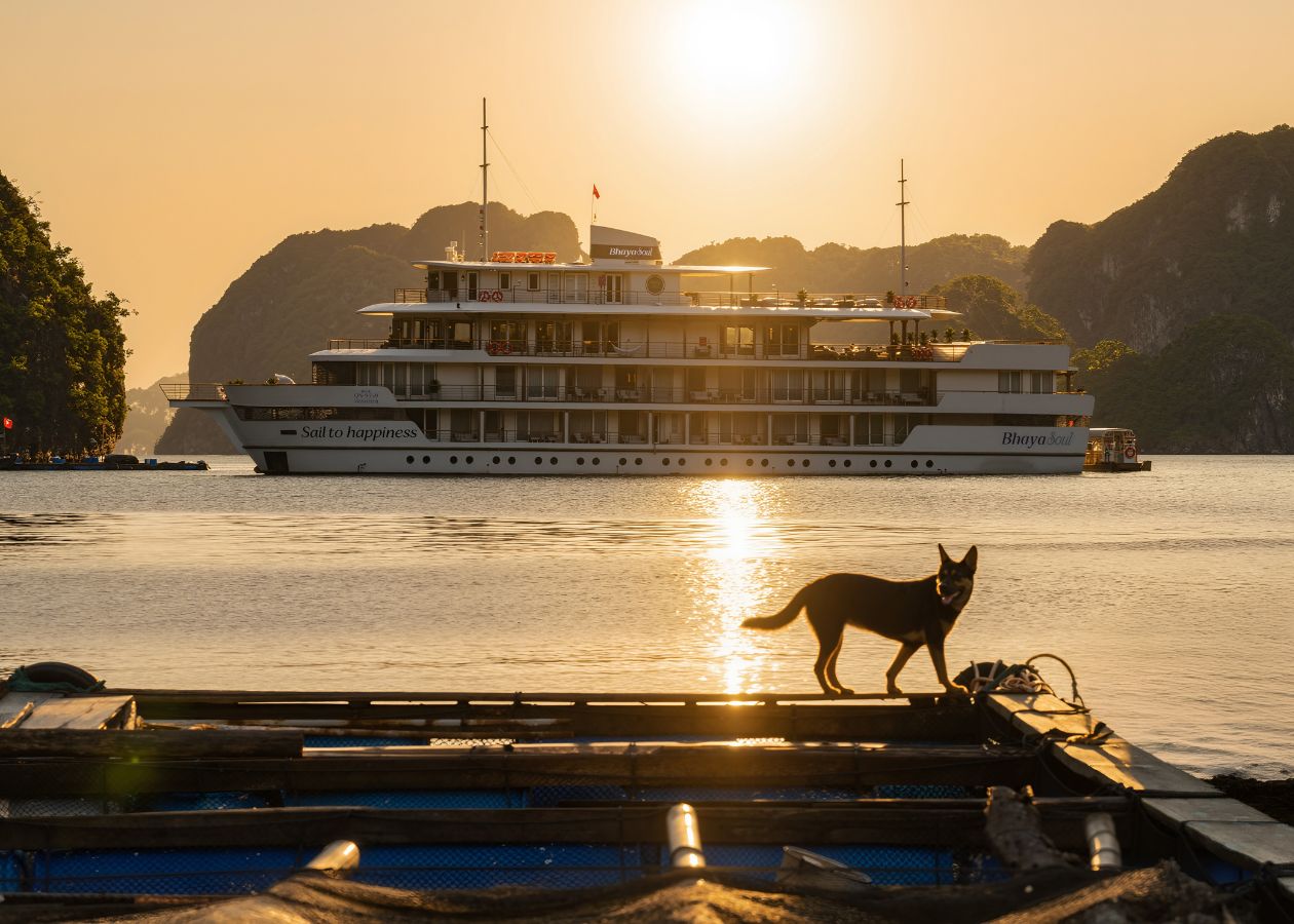 Bhaya Soul Halong Bay