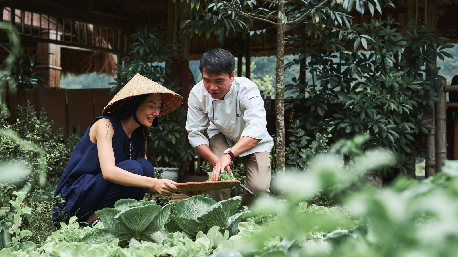 Bhaya Cruises - Sustainable travel