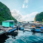 The Au Co 3 days cruise Halong bay Lan Ha Bay