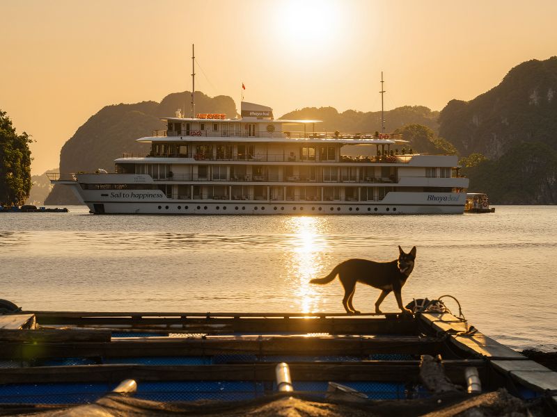 Bhaya Soul Wellness Inclusive cruise, Halong Bay