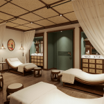 Bhaya Soul Wellness cruise Halong Bay