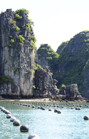 Destination image Tung Sau Pearl Farm