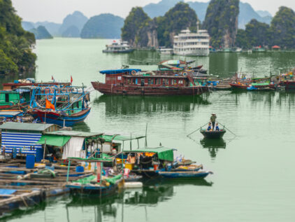 Private Cruise to Bai Tu Long Bay