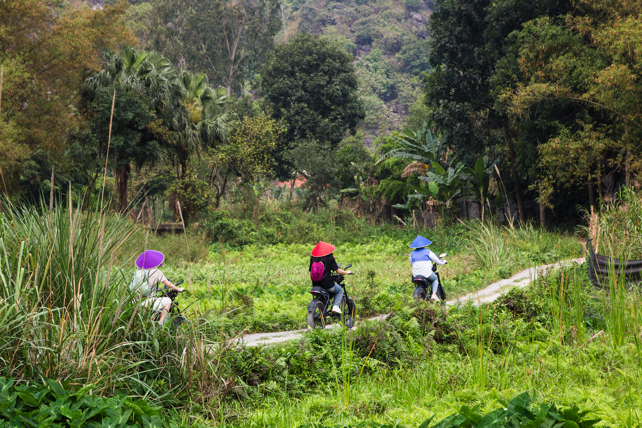 Ninh Binh Countryside E-Bike Escape