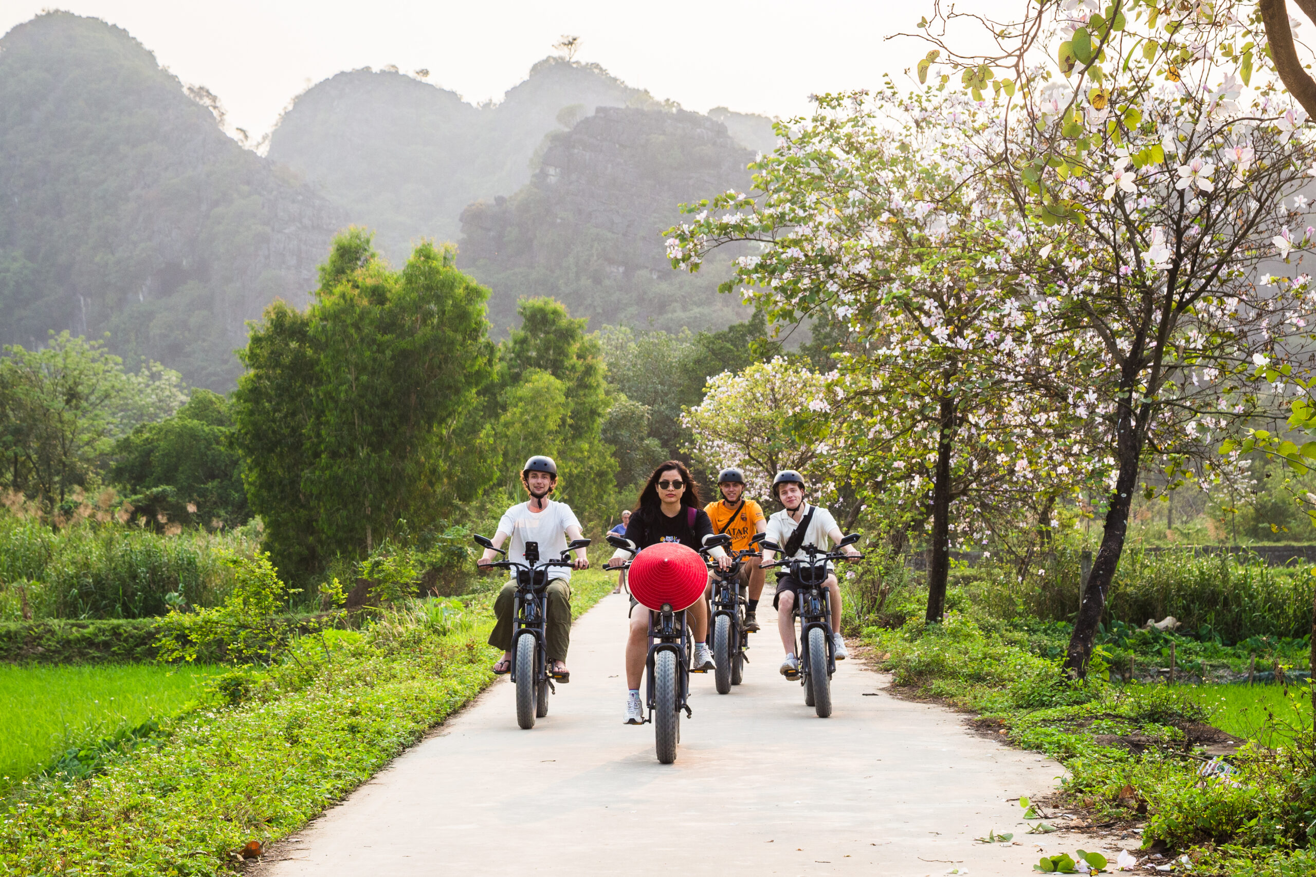 Ninh Binh Ebike Day tour