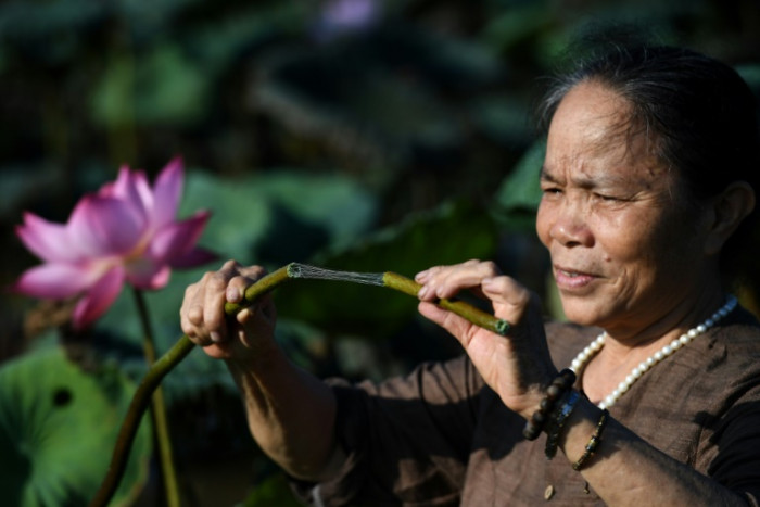 Lotus Silk Village
