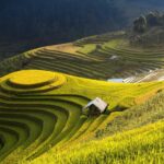 Nam Cang sapa