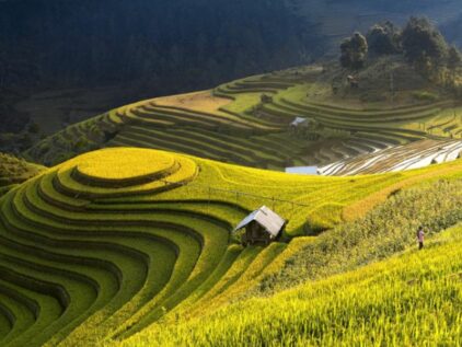 Nam Cang sapa