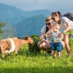 Halong Sapa Tour