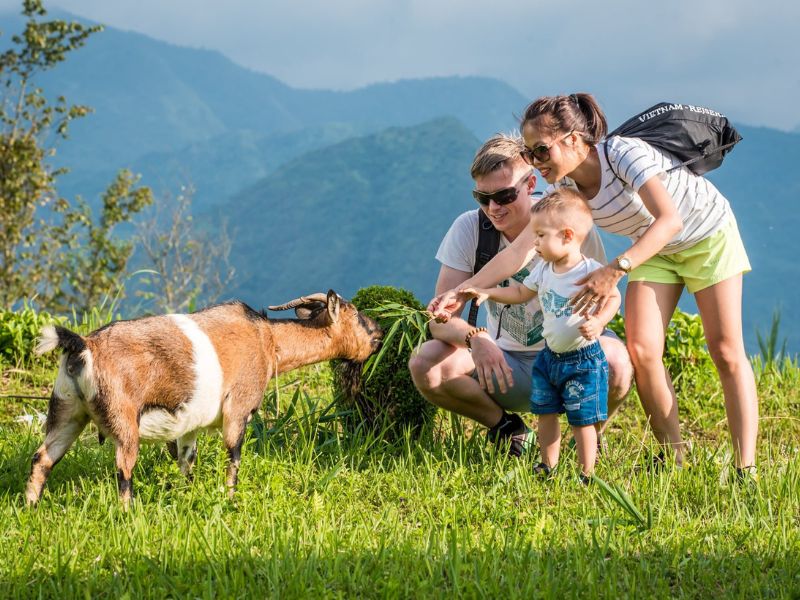Halong Sapa Tour