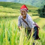 Halong Sapa Tour