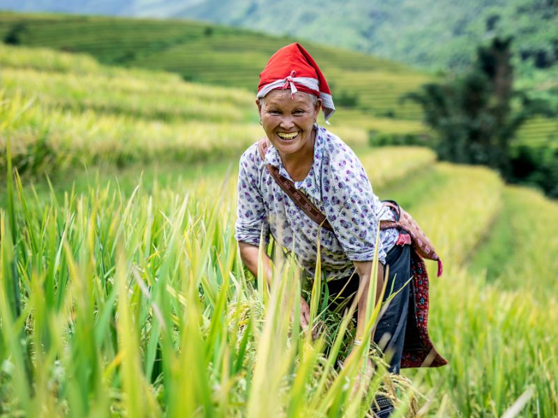 Halong Sapa Tour